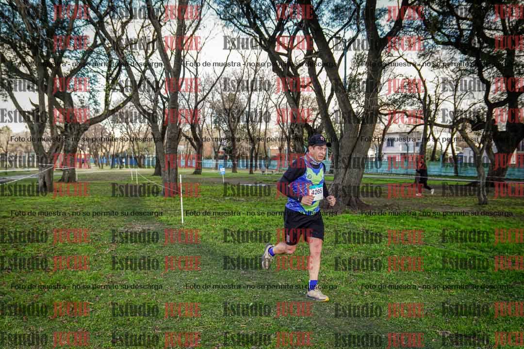 Fotos en el circuito