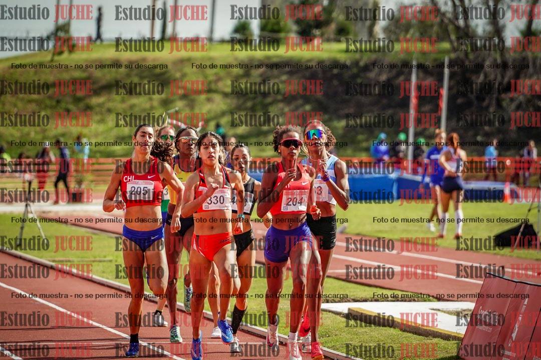 Fotos de los 800 m llanos de mujeres - FINAL