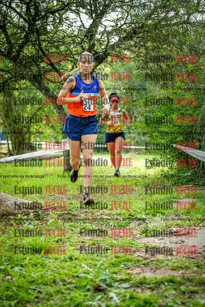 Fotos en el circuito