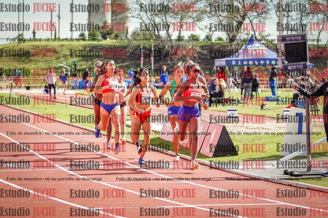 Fotos de los 800 m llanos de mujeres - FINAL