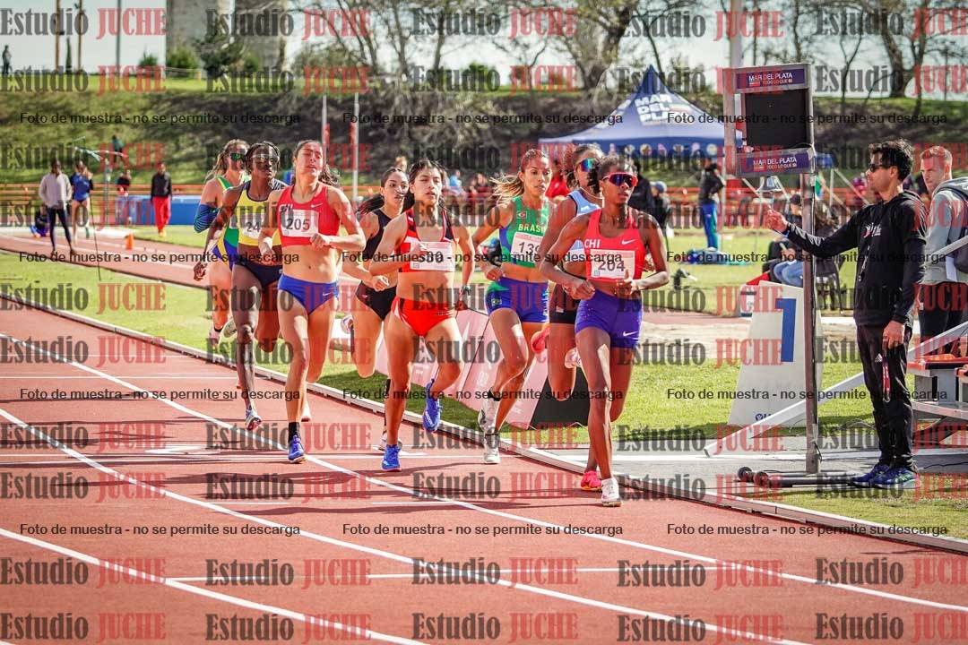 Fotos de los 800 m llanos de mujeres - FINAL