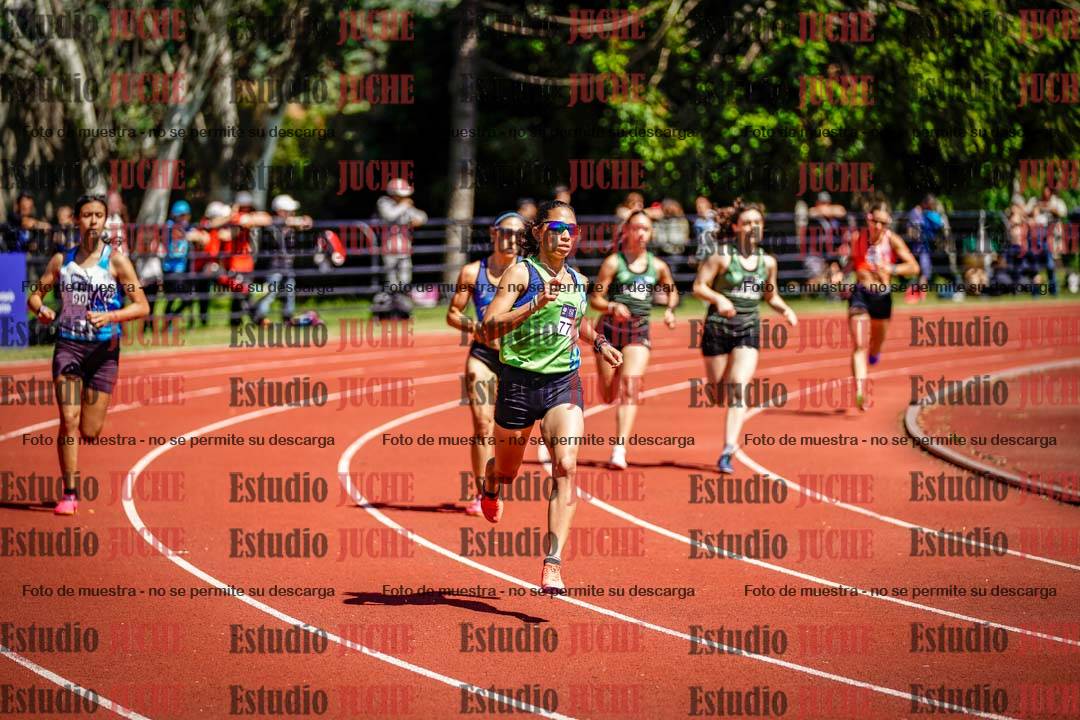 Fotos de los 800 m llanos de mujeres