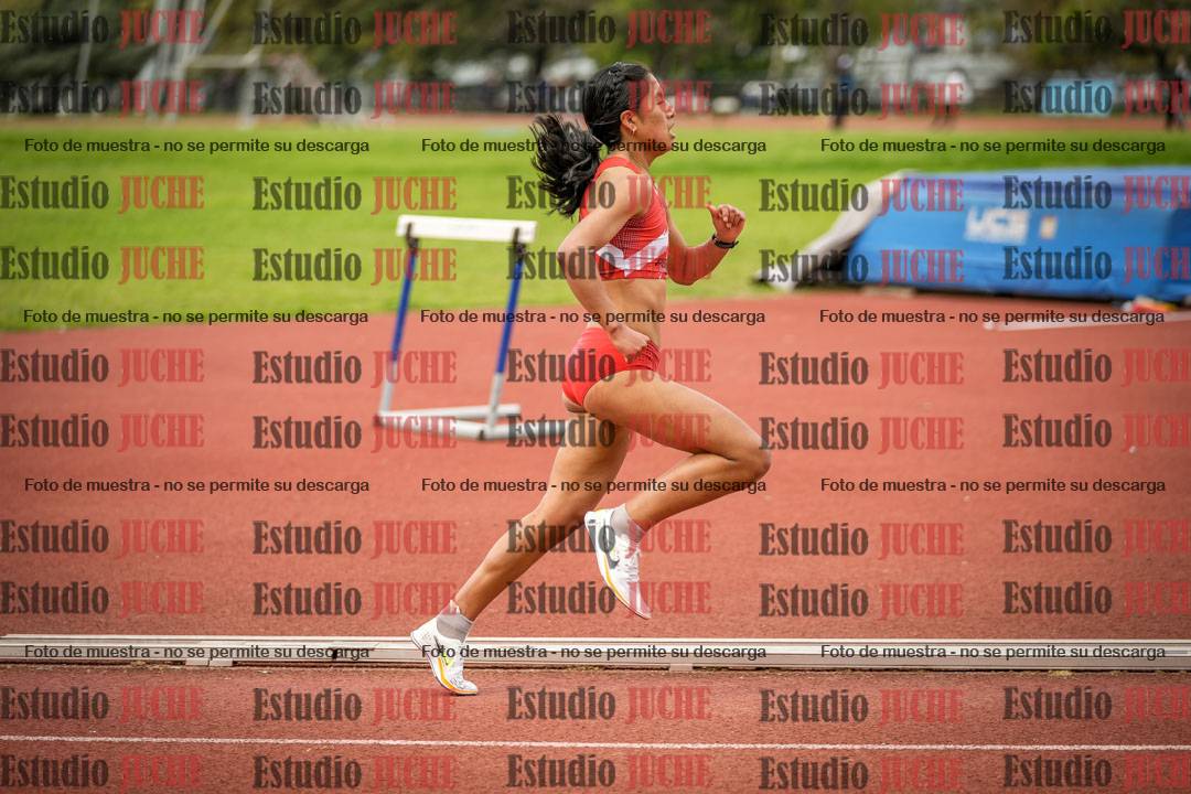 Fotos de los 1500 m llanos de mujeres