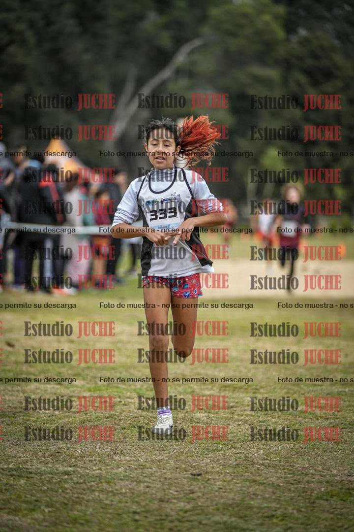 Fotos de la llegada