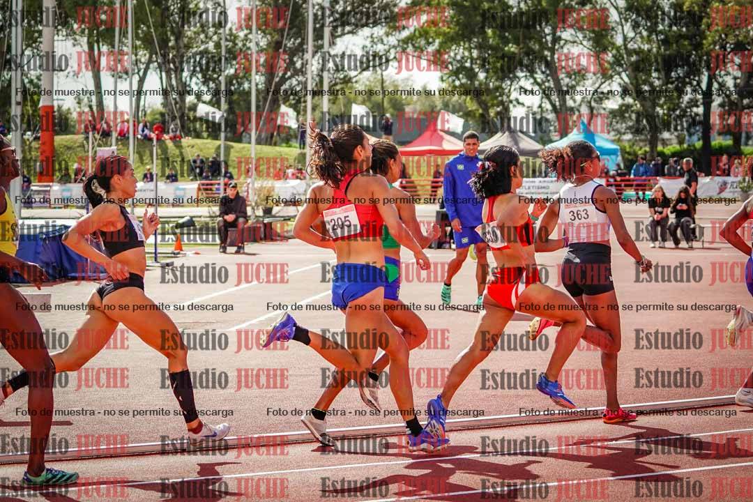 Fotos de los 800 m llanos de mujeres - FINAL