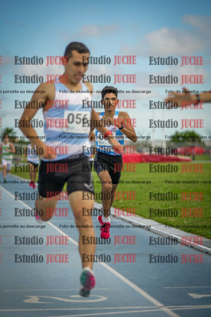 Fotos de los 1000 m llanos de varones