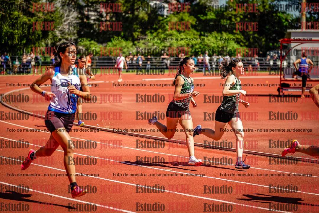 Fotos de los 800 m llanos de mujeres