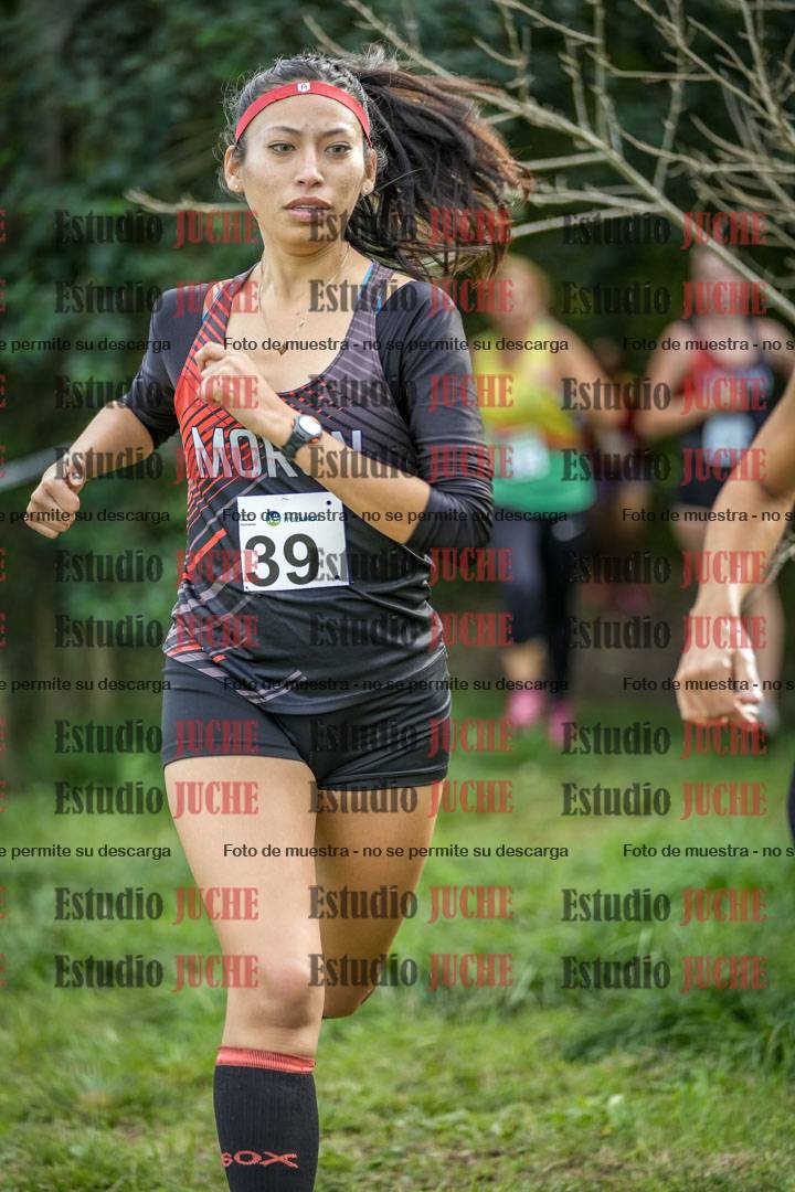 Fotos en el circuito