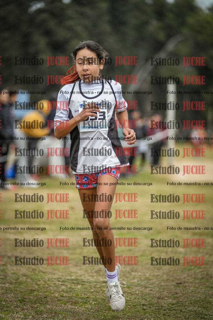 Fotos de la llegada