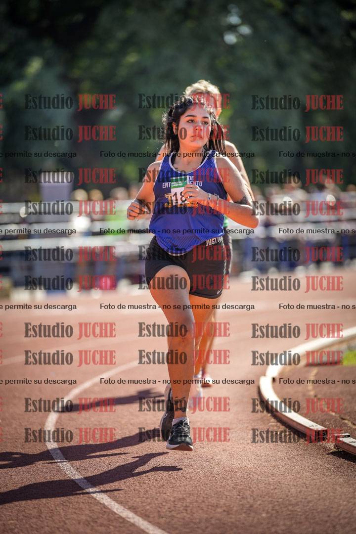 Fotos de los 800 m llanos de mujeres