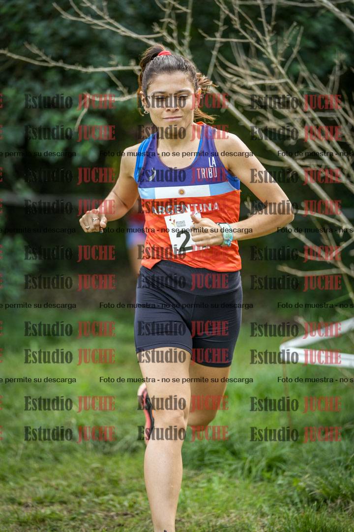 Fotos en el circuito