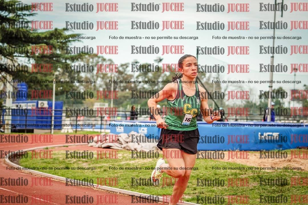 Fotos de los 1500 m llanos de mujeres