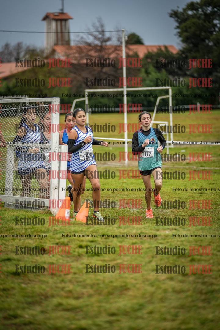 Fotos en el circuito