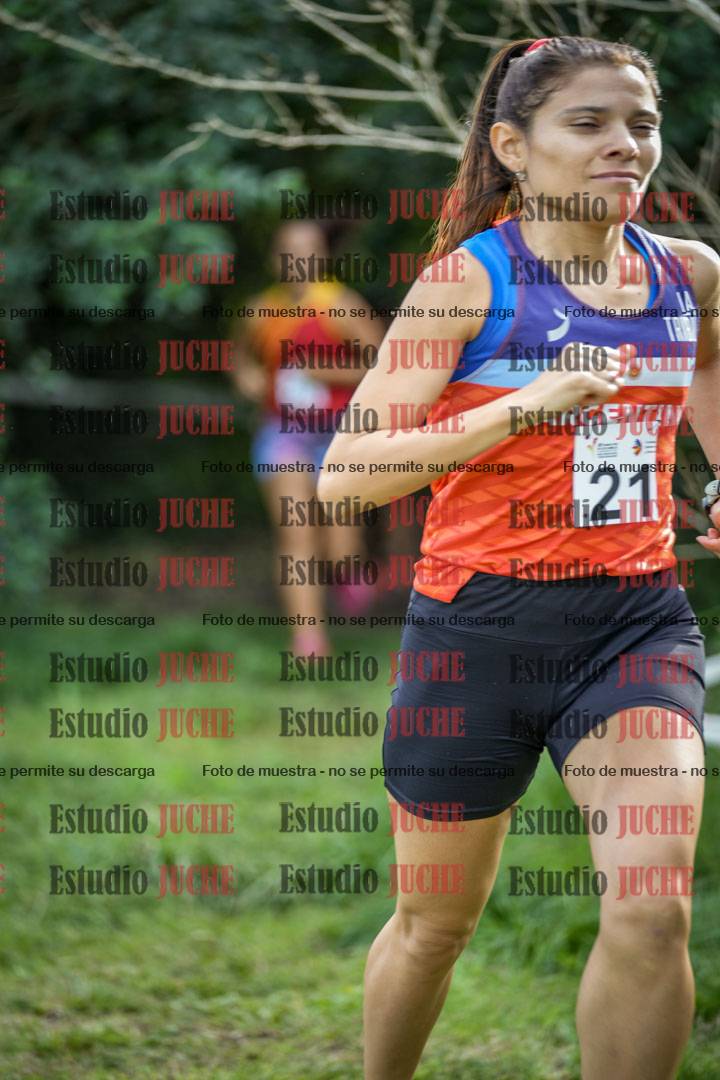 Fotos en el circuito