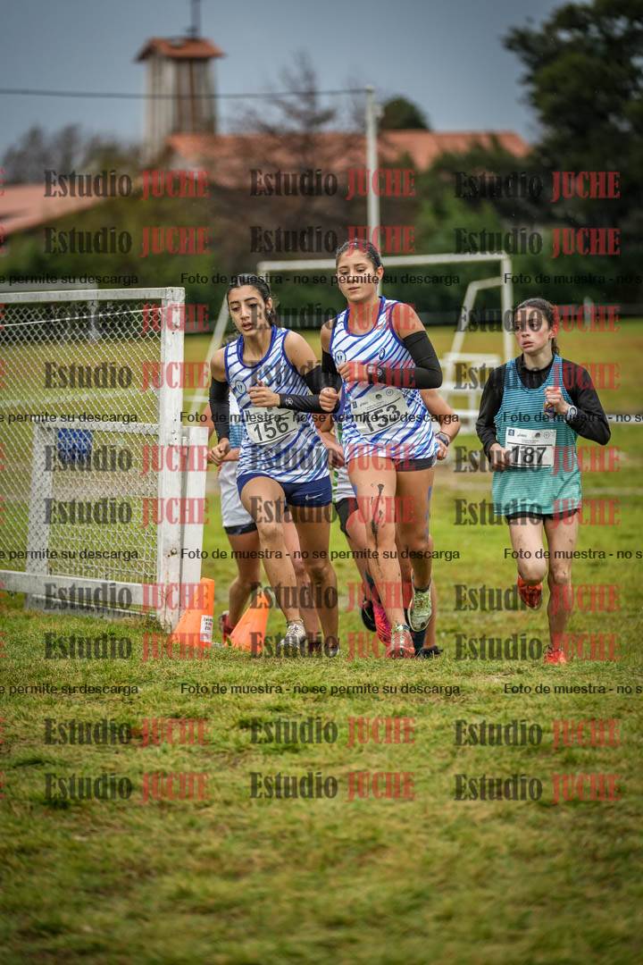 Fotos en el circuito