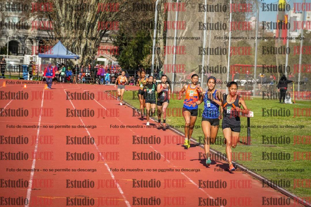 Fotos de los 800 m llanos de mujeres