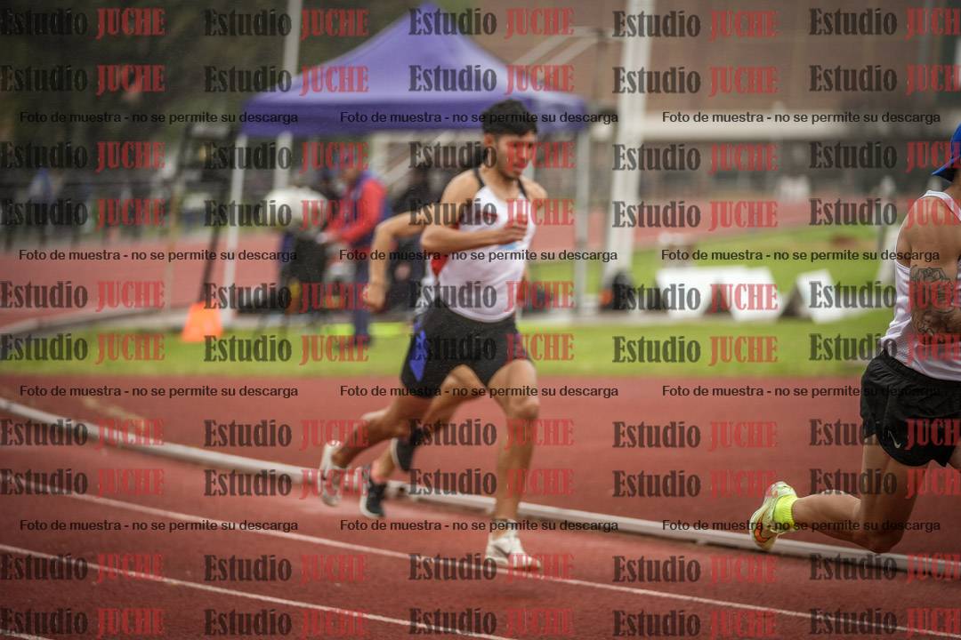 Fotos de los 800 m llanos de varones