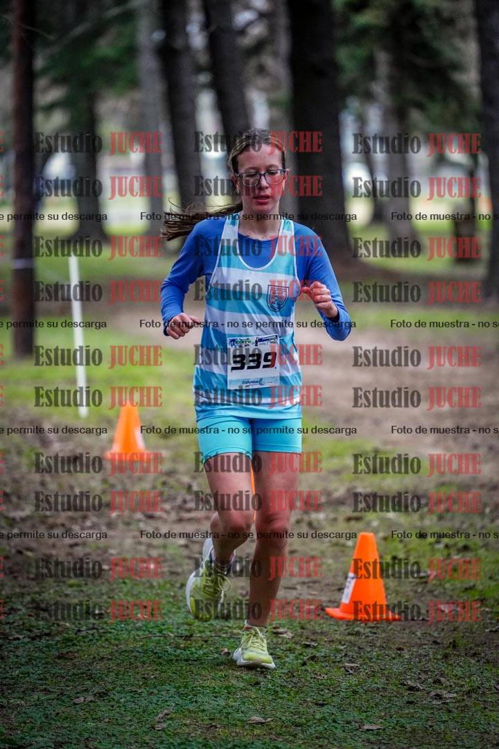 Fotos en el circuito