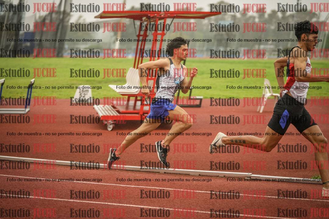 Fotos de los 800 m llanos de varones