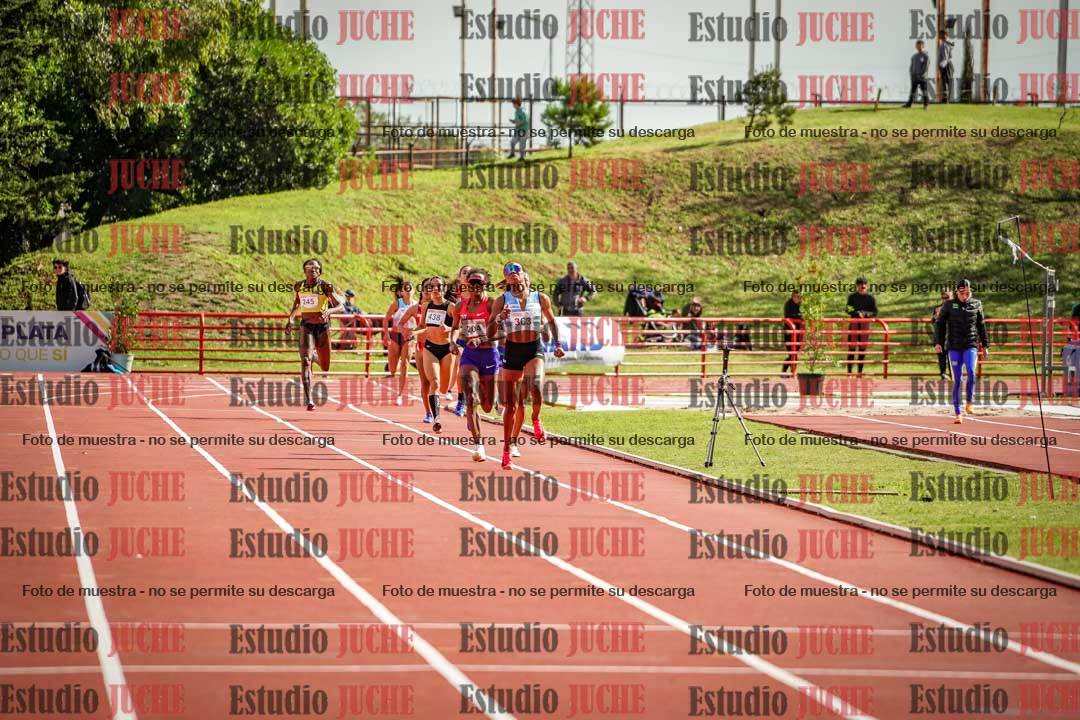 Fotos de los 800 m llanos de mujeres - FINAL