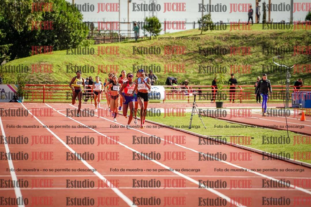 Fotos de los 800 m llanos de mujeres - FINAL