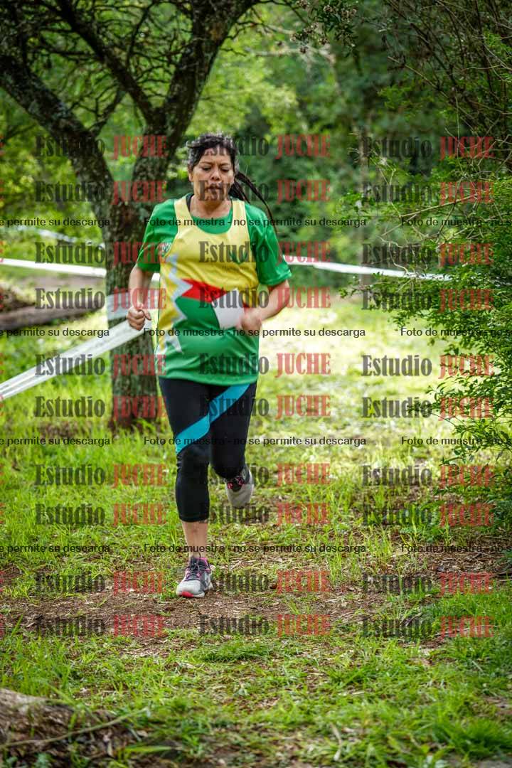 Fotos en el circuito