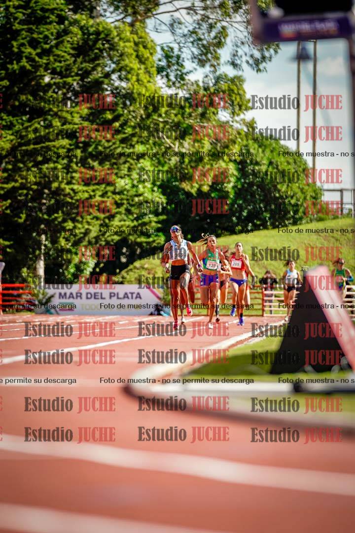 Fotos de los 800 m llanos de mujeres - FINAL