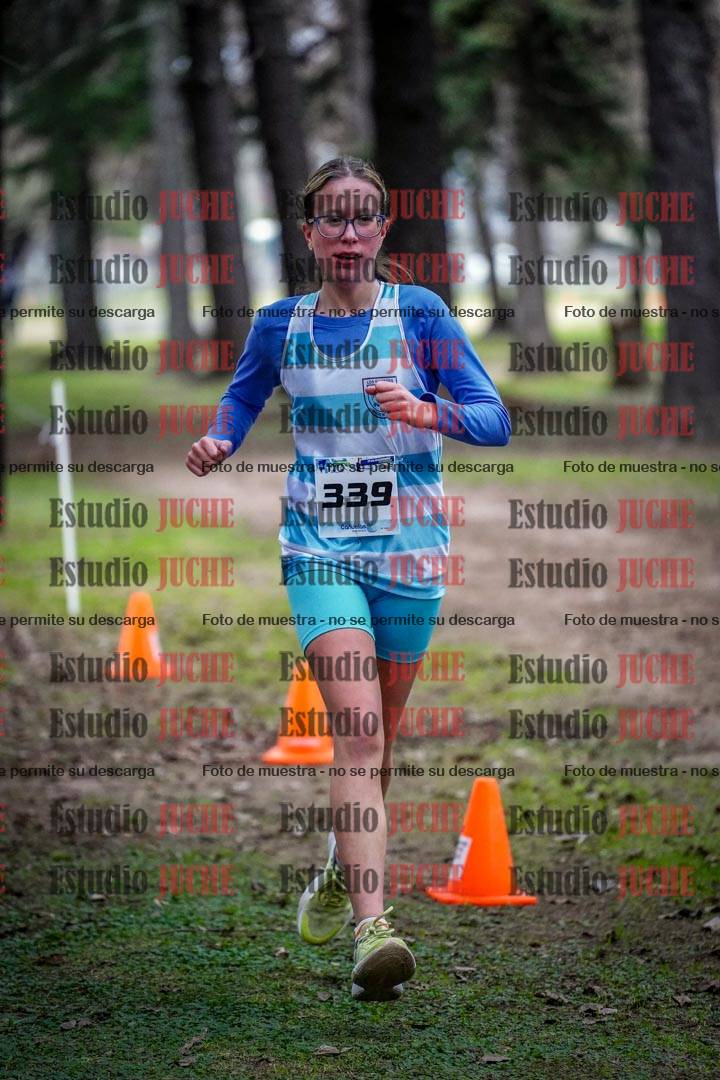 Fotos en el circuito