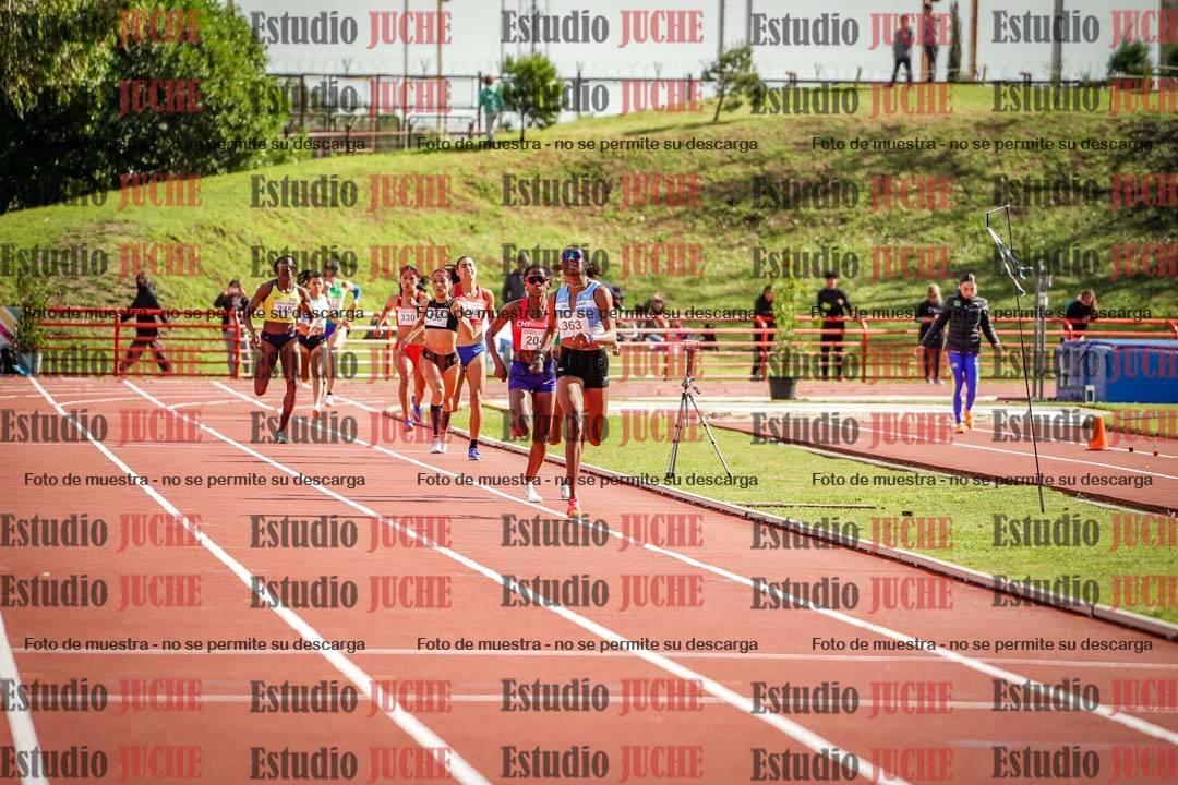 Fotos de los 800 m llanos de mujeres - FINAL