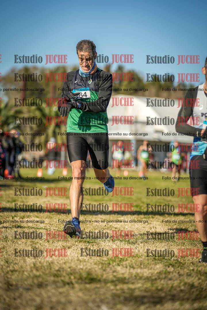 Fotos de las llegadas