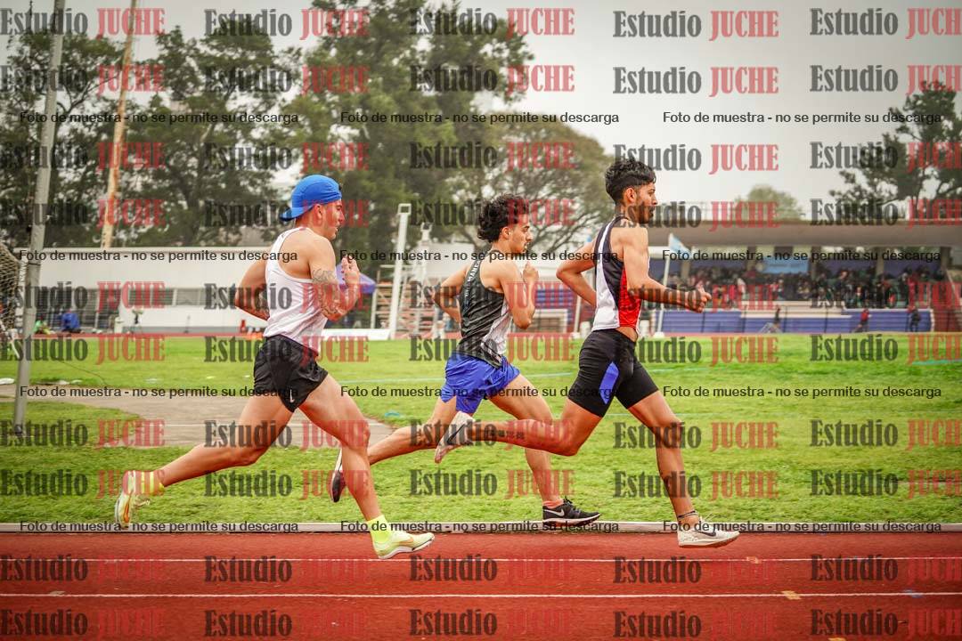 Fotos de los 800 m llanos de varones