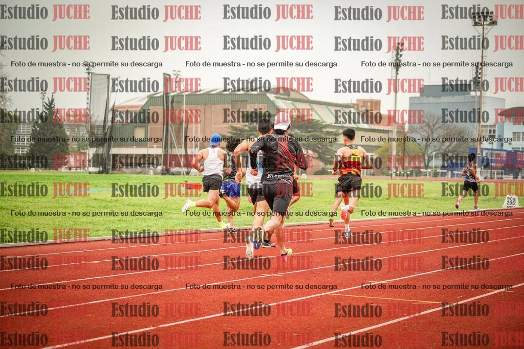 Fotos de los 800 m llanos de varones
