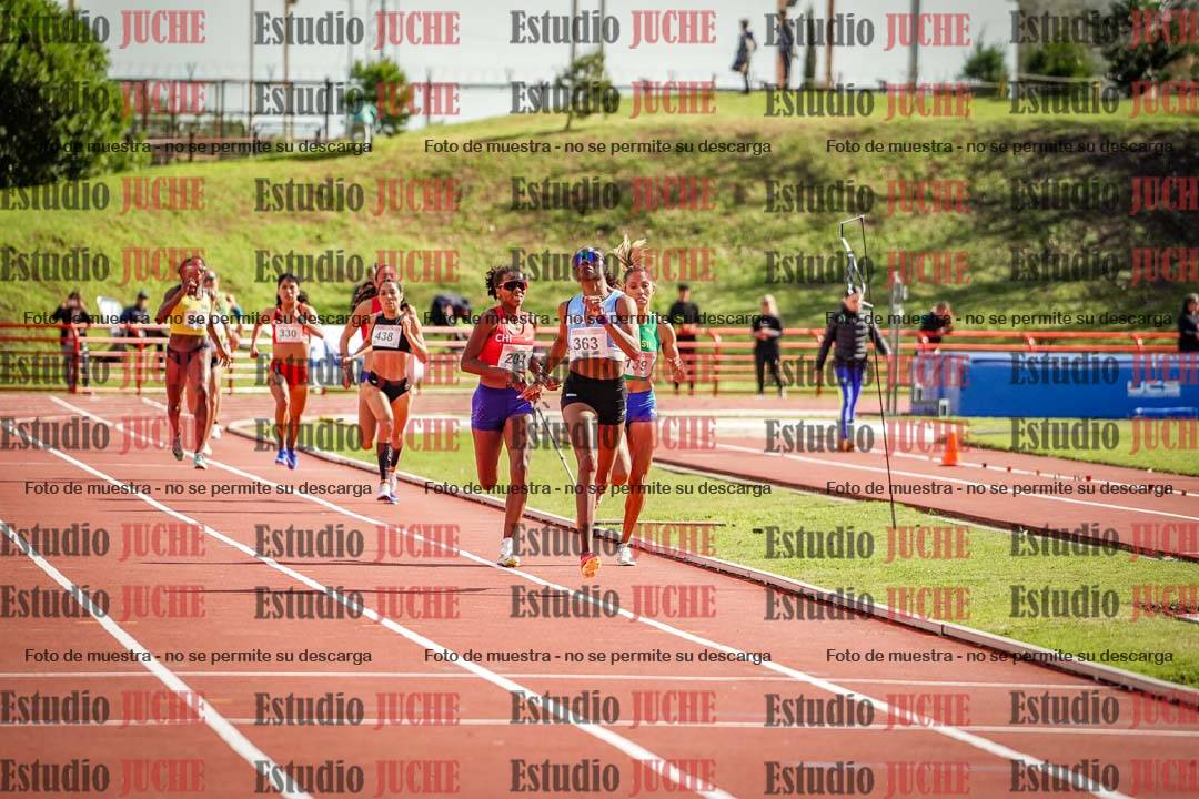 Fotos de los 800 m llanos de mujeres - FINAL