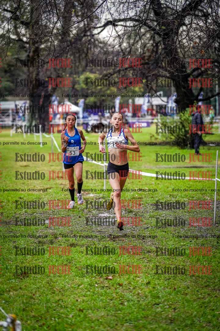 Fotos en el circuito