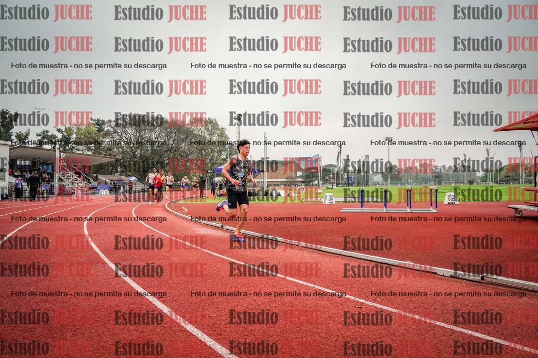 Fotos de los 800 m llanos de varones