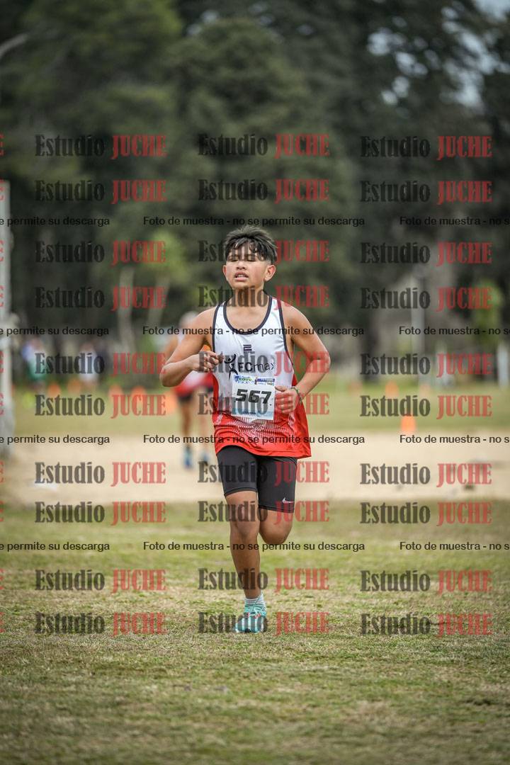 Fotos de la llegada