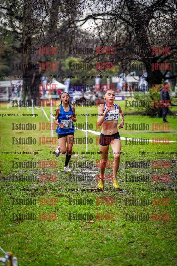 Fotos en el circuito