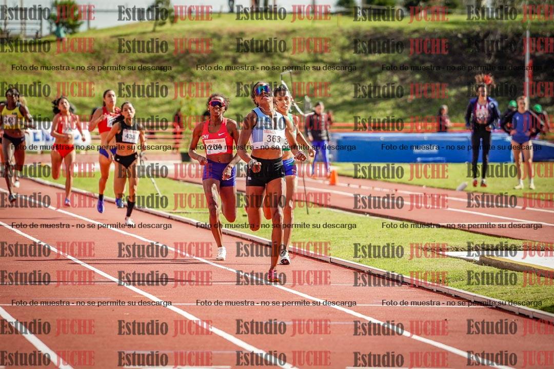 Fotos de los 800 m llanos de mujeres - FINAL