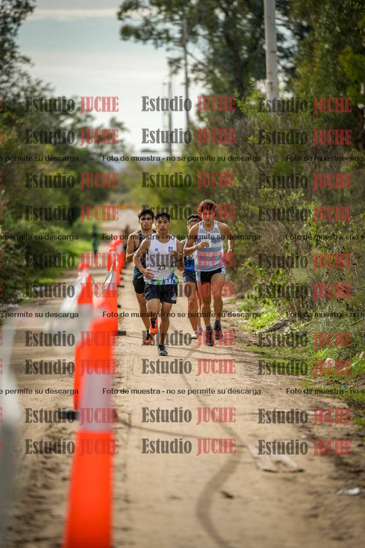Fotos en el circuito