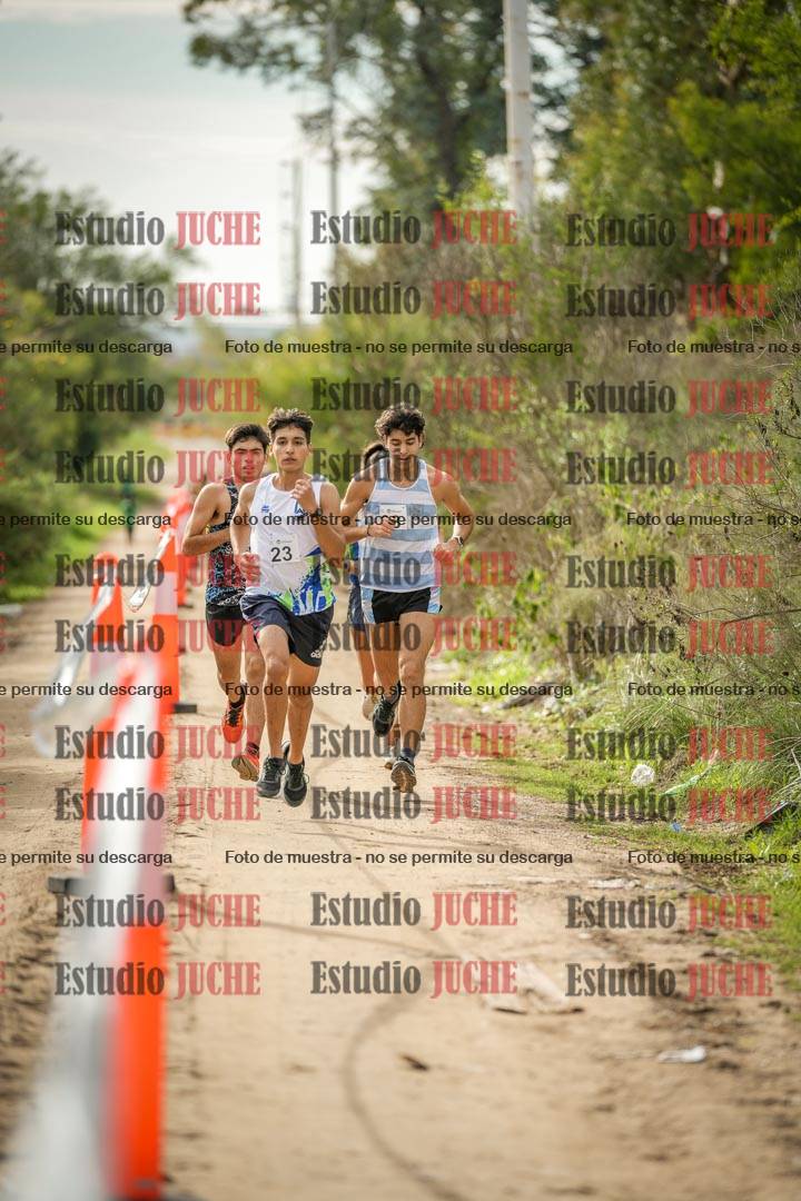 Fotos en el circuito