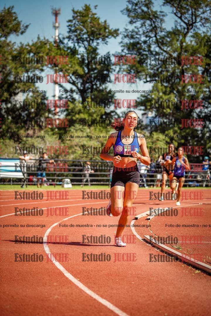 Fotos de los 800 m llanos de mujeres