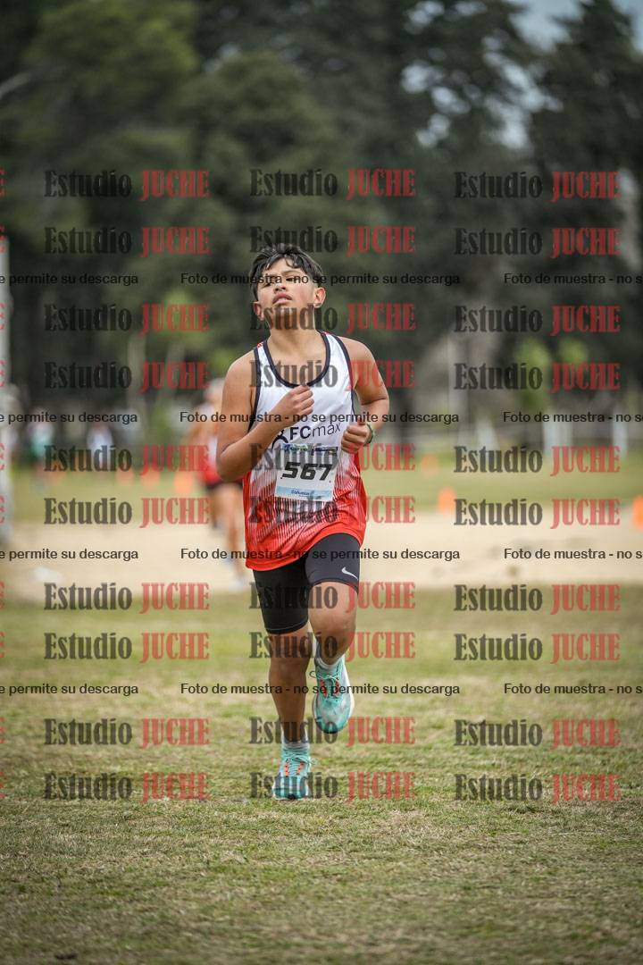 Fotos de la llegada