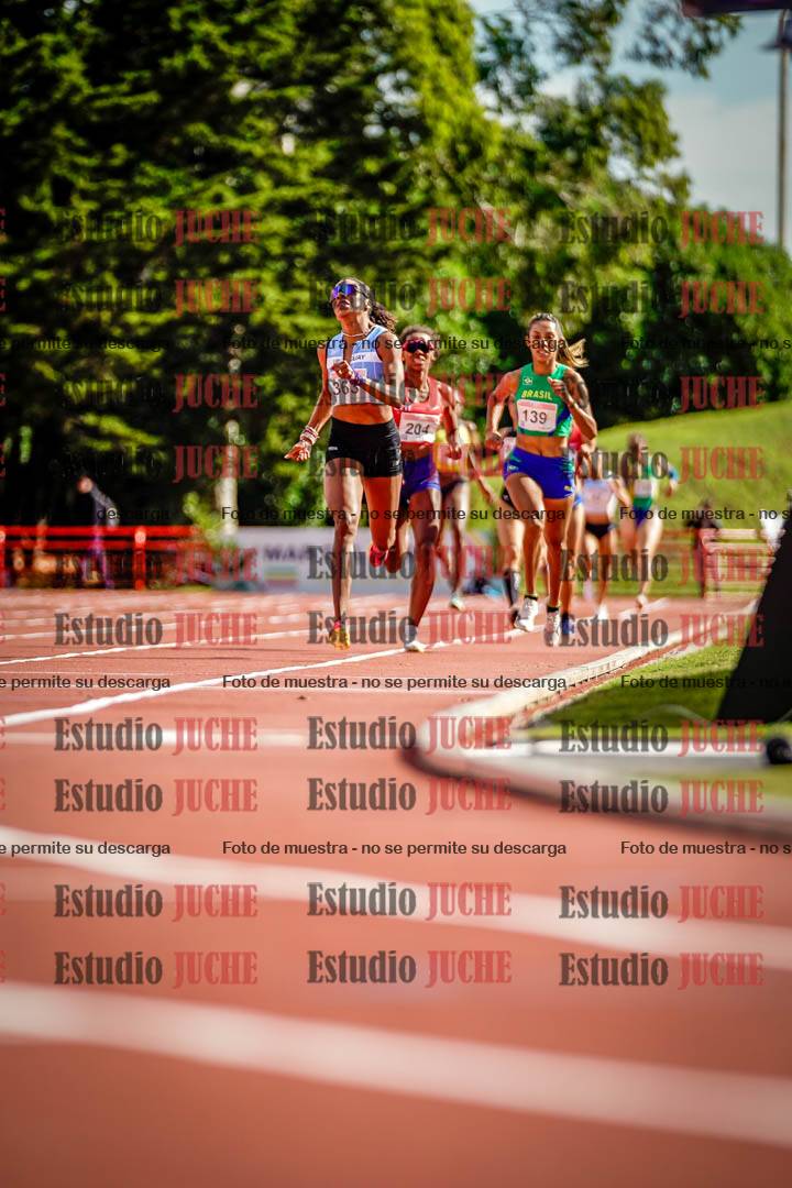 Fotos de los 800 m llanos de mujeres - FINAL