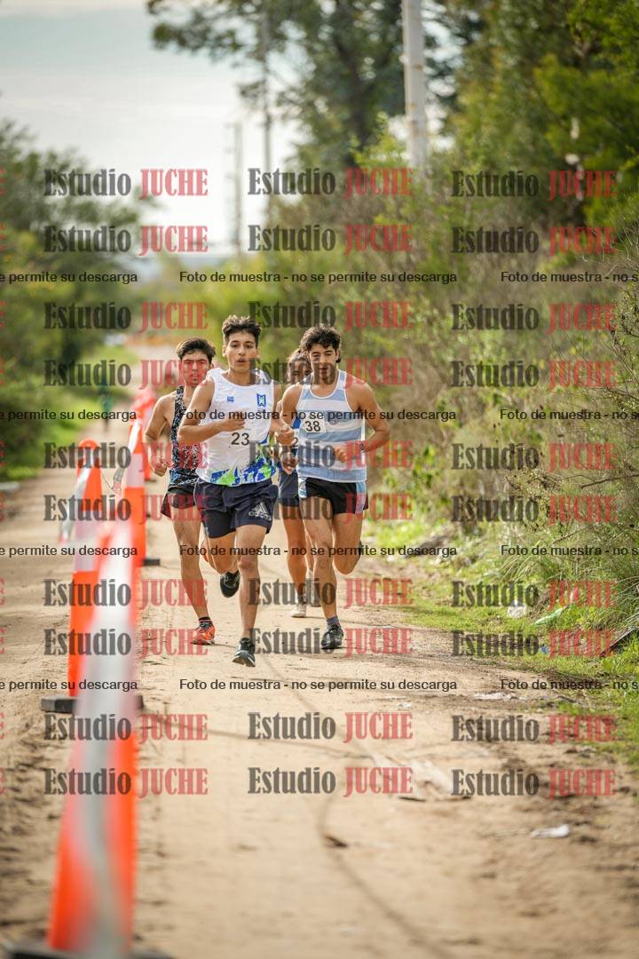 Fotos en el circuito