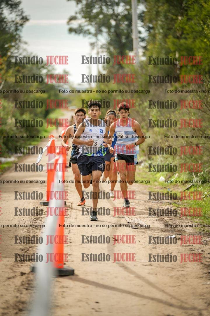 Fotos en el circuito