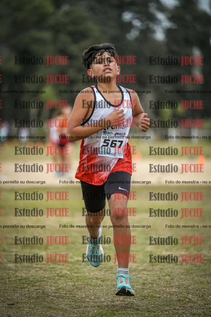 Fotos de la llegada