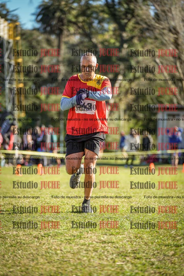 Fotos de la llegada del cross de 4000 m - varones