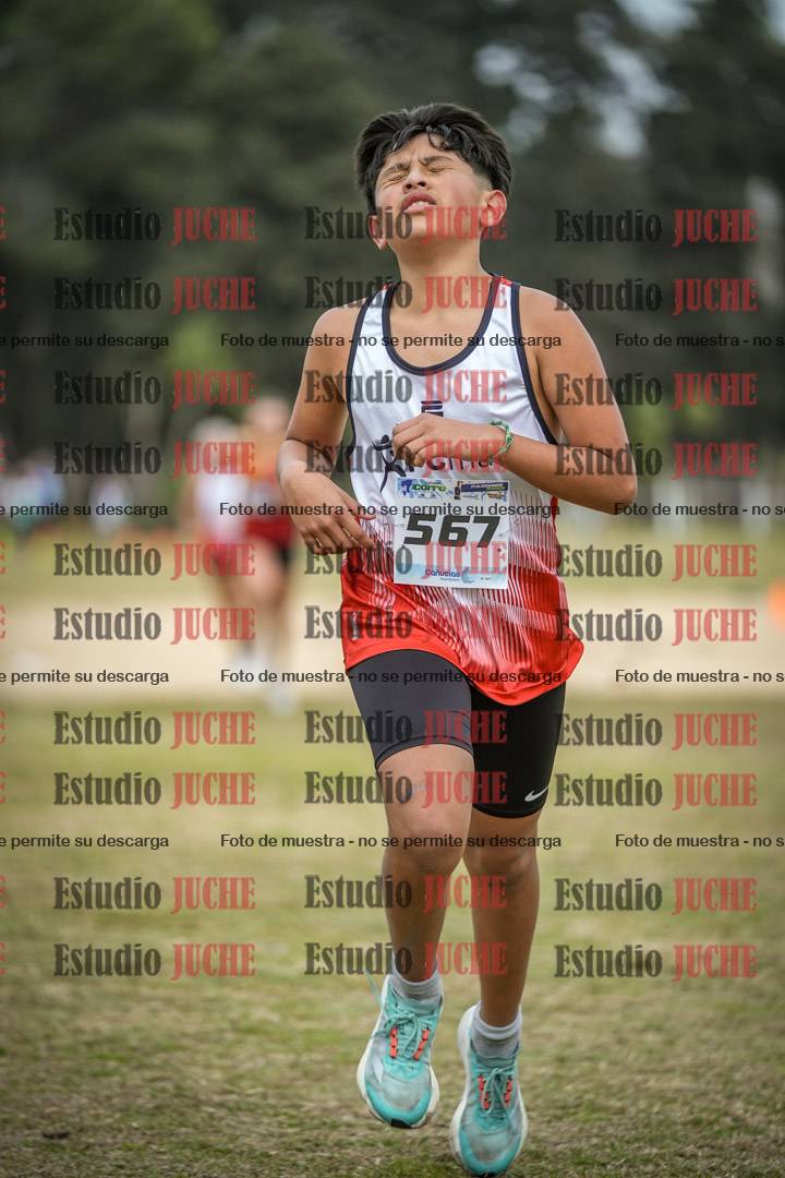 Fotos de la llegada