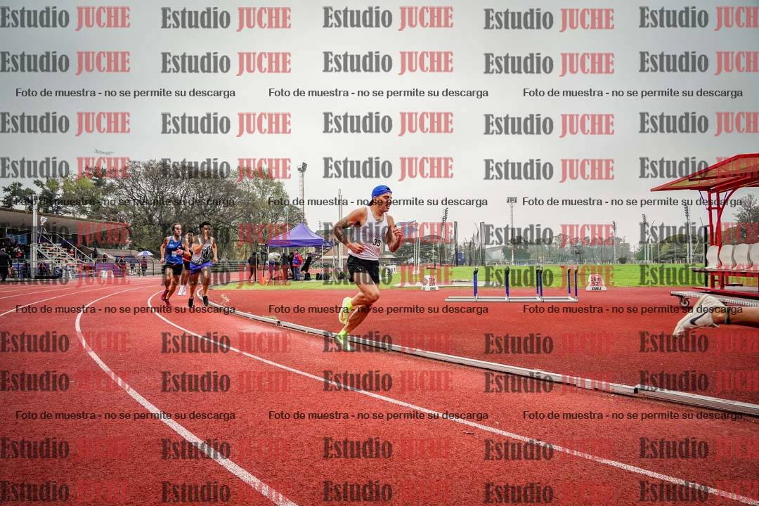 Fotos de los 800 m llanos de varones