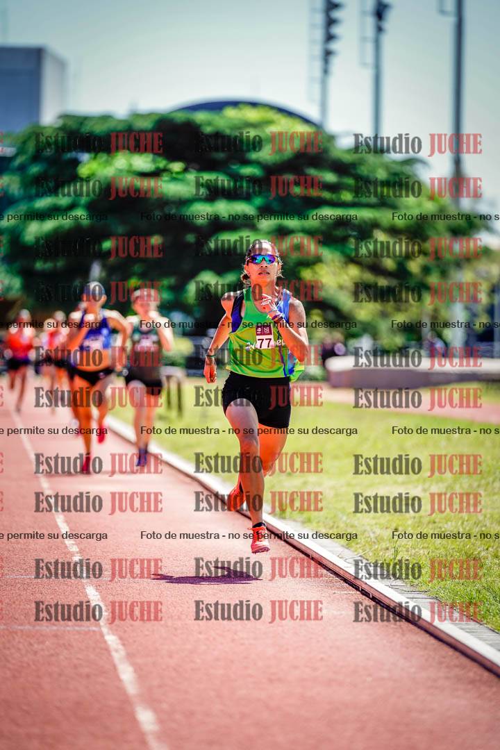 Fotos de los 800 m llanos de mujeres